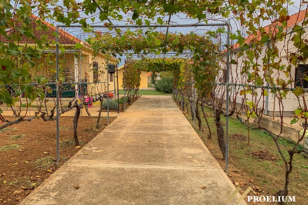 Stone house with garden, Nin, 1500 m2, 300 m from the sea